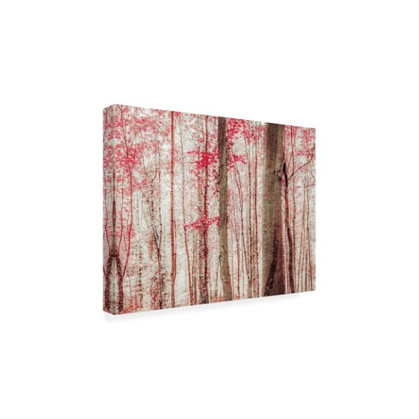 Brooke T. Ryan 'Pink & Brown Fantasy Forest' Canvas Art,35x47